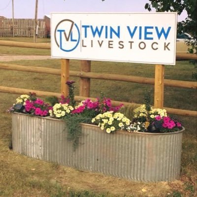 Twin View Livestock is a Gelbvieh and Simmental seedstock producer located near Parkbeg, SK owned and operated by Aaron Birch and Joe Barnett.