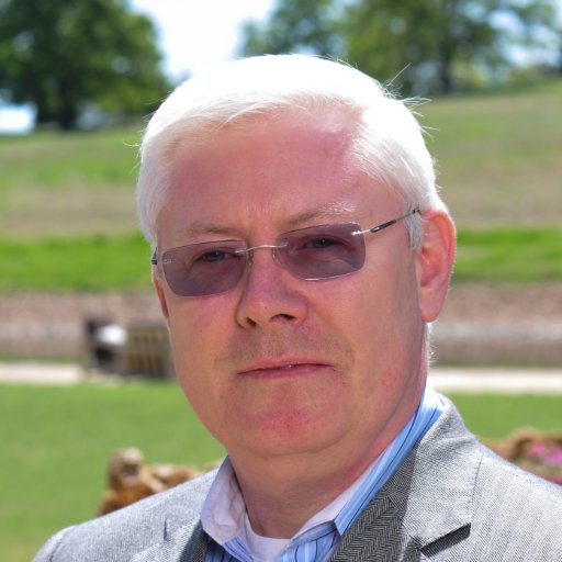 Senior Technology and Business Solutions Consultant with a track record of fusing technology vision and strategy