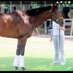 Liz O'Connell (@nythoroughbred) Twitter profile photo Liz O'Connell (@nythoroughbred) Twitter profile photo