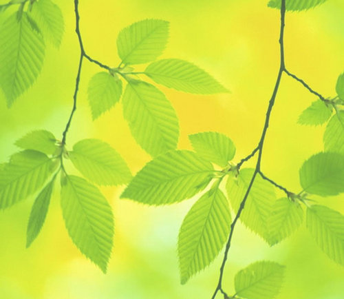 39tanaka's profile picture. 『人生に役立つ情報や面白い情報・話題など』を、発信してまいります！
 この『繋がり＆絆＆面白情報』が、一人でも多くの『縁』のある人にとって、お役に立てれば幸いです。
あなたとの奇跡の出逢い、ありがとうございます！