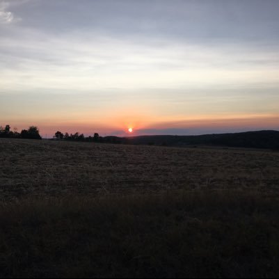 msb2k's profile picture. 