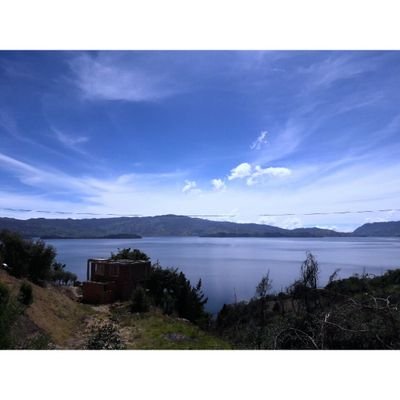 modesta_aguirre's profile picture. 