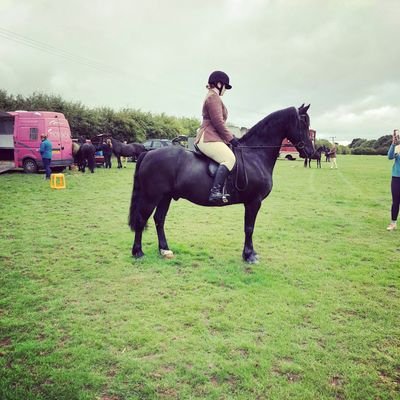 work, animals, food - my life.