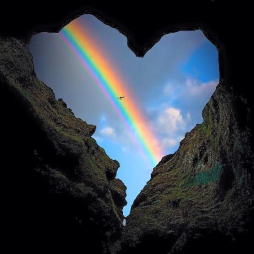 syl57wal's profile picture. Love Donald Trump and I'm ready to take one for the team. Don't sniff me Jo