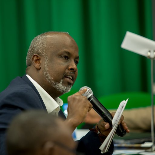 Chairperson of Somali Non-State​ Actors