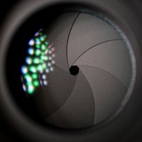 Vanessa Frost (@fairlyparanoid) 's Twitter Profile