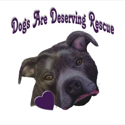 We are an all breed rescue with an emphasis on saving the most misunderstood breed; the PitBull