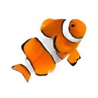 Scuba Business Finder (@scubapguide) 's Twitter Profile
