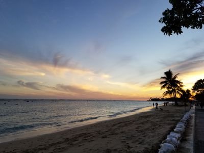 kay1215's profile picture. Biology Ph.D. with a great interest in Economy