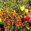 John Varcoe - @johnnyvarx - Twitter