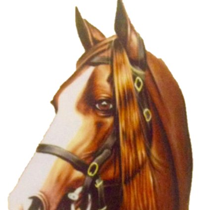 issamboutahar's profile picture. 