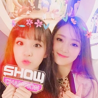 위트さんのプロフィール画像