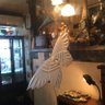 Bar_wright_moon's profile picture. 京都寺町三条にある骨董&喫茶の店「ライト商會」夜の部です。BAR&夜の喫茶。週末を中心に営業。紅茶が多めなので、お酒が飲めない方もお気軽に。営業日は随時告知します。チャージ500円。20:30〜23:00(LO22:30)