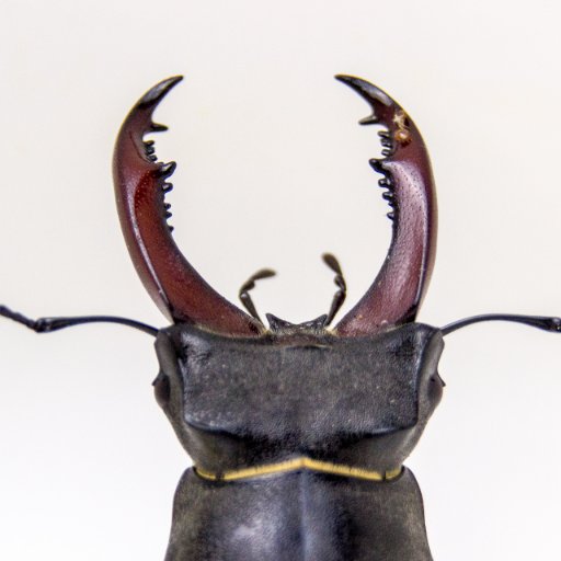 XurxoInsolente's profile picture. Profe Sociologista. Antirracista, antifascista e anti-queer, valga a redundancia. Podemos es de derechas y machista.
Por la boca muerde el pez.