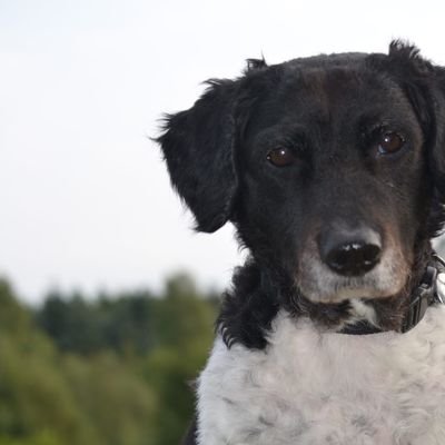 annekedesign's profile picture. Creatief, fotografie, genieten!