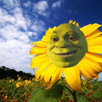 Cherche Rpg Shrek Rpgshrek Twitter