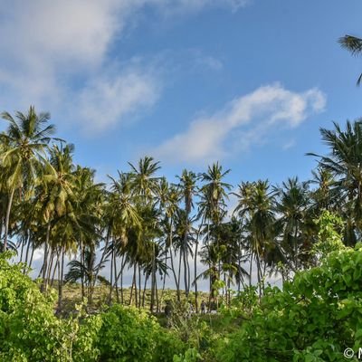 MOHDABBY2's profile picture. 