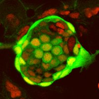Piotrowski Lab (@labpiotrowski) 's Twitter Profile Photo Piotrowski Lab (@labpiotrowski) 's Twitter Profile Photo