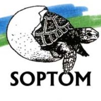 SOPTOM-CRCC (@soptomcrcc) 's Twitter Profile