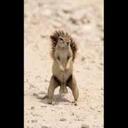 fernando balbi - @ferbalby - Twitter