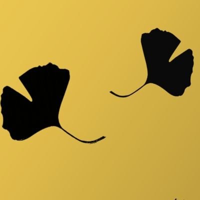 ginkgobiloba_wo's profile picture. Ginkgo Biloba Wind Orchestra(通称 銀吹)です！アマチュアの吹奏楽団です。
音楽を愛し、共にひとつの音楽を作りたいという思いで活動しています。

🎵第10回定期演奏会 2026年3月7日（土）豊中文芸🎵