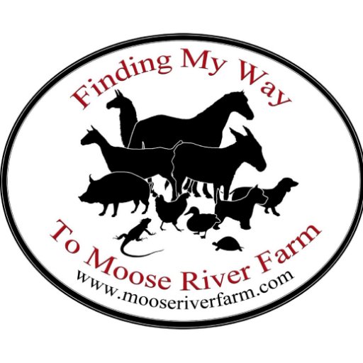 Author of Finding My Way to Moose River Farm; #memoir;life with extraordinary #animals. Founder of #EquiReflection http://t.co/Ro3zaeneCD http://t.co/Bg7vCkzUZy