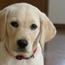 minminzemi (@mizzn) Twitter profile photo minminzemi (@mizzn) Twitter profile photo