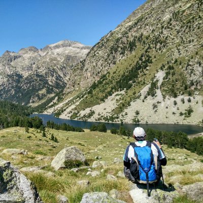 gomezquico's profile picture. We never know how high we are till we are called to rise- Emily Dickinson