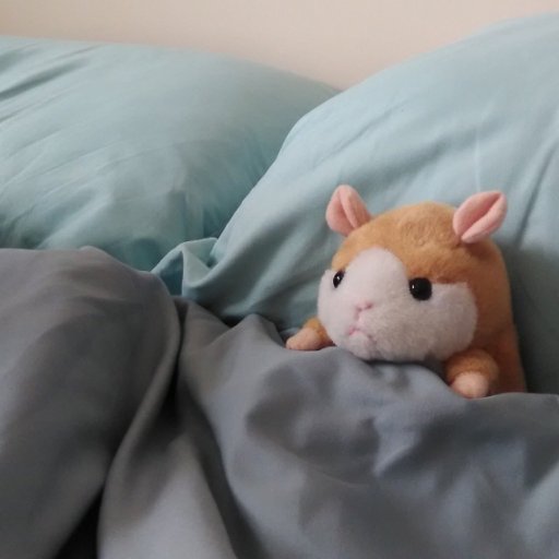 ribeben's profile picture. 南国生まれのひきこもり。根なし草。