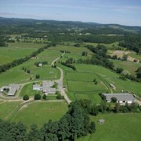 Dutchess Views Farm (@dutchess_views) 's Twitter Profile