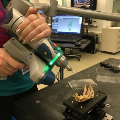 The Imaging and Analysis Centre is one of the Natural History Museum's scientific laboratories. We wanted to share some of the amazing things we get up to.