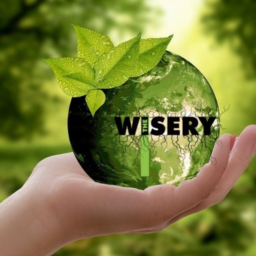 TheWisery's profile picture. ways to grow: it's all about good living & smart working