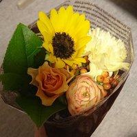 やすこ (@yasumoco0824) 's Twitter Profile