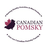 Canadian Pomsky(@CanadianPomsky) 's Twitter Profile Photo