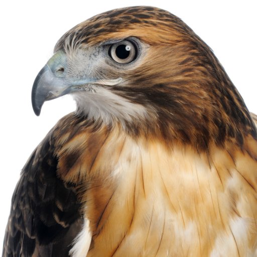 HopewellHawks's profile picture. 