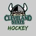 Cleveland State Vikings Hockey (@CsuHockey) Twitter profile photo