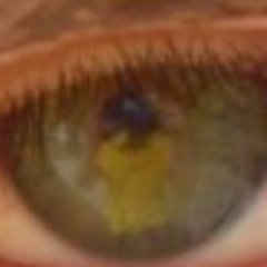 TheNothingNew's profile picture. Recovering Anglophile
He/Him/Whatever