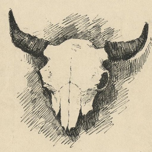 BoiMorto_'s profile picture. Espantosamente, boi