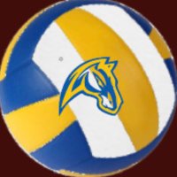 Chicopee Comp Volleyball (@compvolleyball) 's Twitter Profile