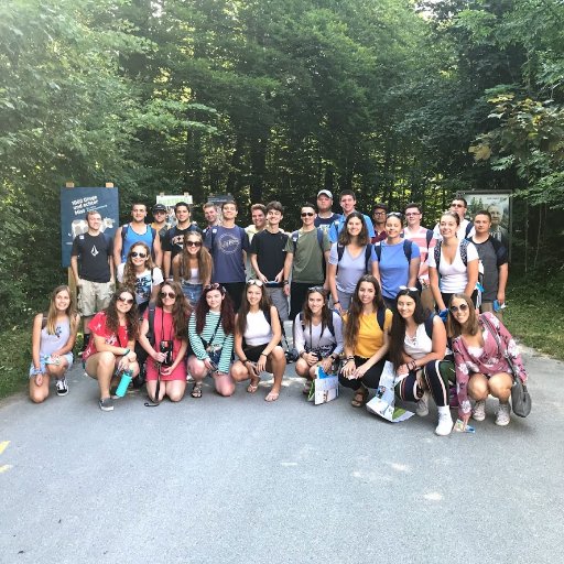 BHSlanguages's profile picture. 