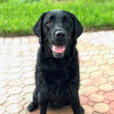 ShaynePhin11's profile picture. 