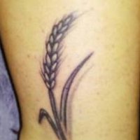 kapaklı sikici (@fenasi5959) Twitter profile photo