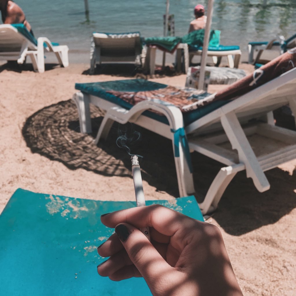 asassasaaasa's profile picture. 