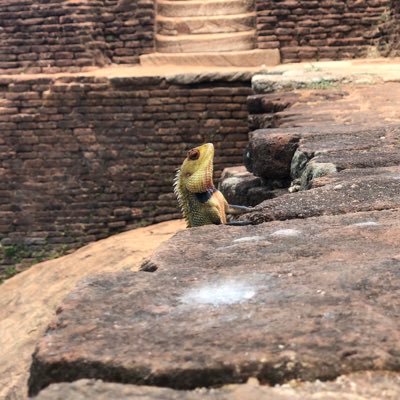 nickysixkilla's profile picture. 