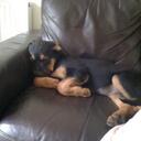 christopher brindley - @bellasausage - Twitter