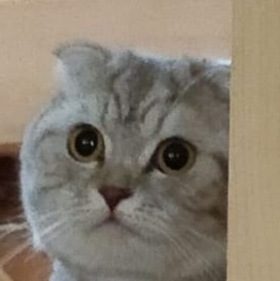 Slenddaz's profile picture. Satunnaisesti striimaileva nuorimies.