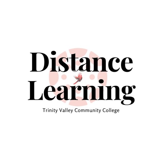 Distance Learning team at Trinity Valley Community College.