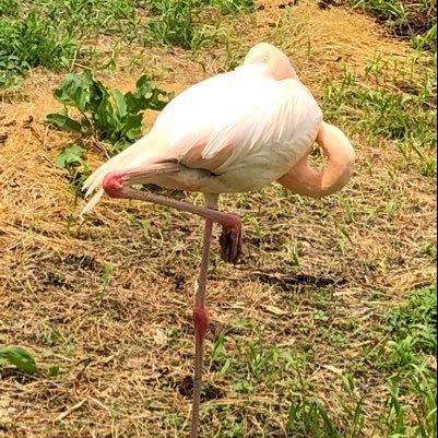 鍵アカ＊友達以外の申請許可しません。