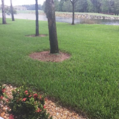 jk1313's profile picture. 