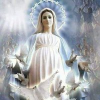 Aml mohamed (@mrualtopexgc1i7) Twitter profile photo